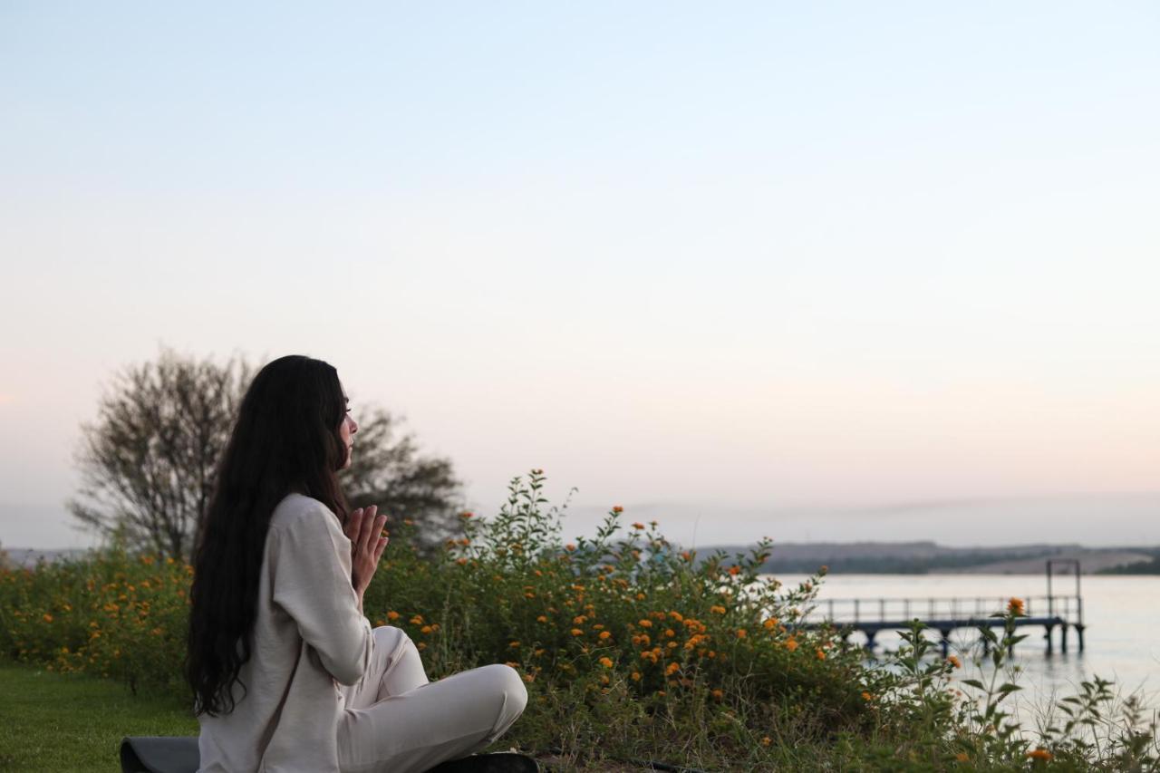 The Zen Wellness Resort Aswan Eksteriør billede